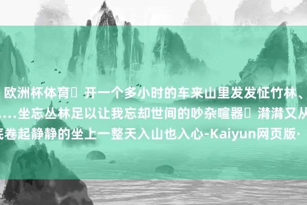 欧洲杯体育	开一个多小时的车来山里发发怔竹林、山野、清风、鸟鸣、活水.…坐忘丛林足以让我忘却世间的吵杂喧器	潸潸又从脚底卷起静静的坐上一整天入山也入心-Kaiyun网页版·「中国」开云官方网站 登录入口